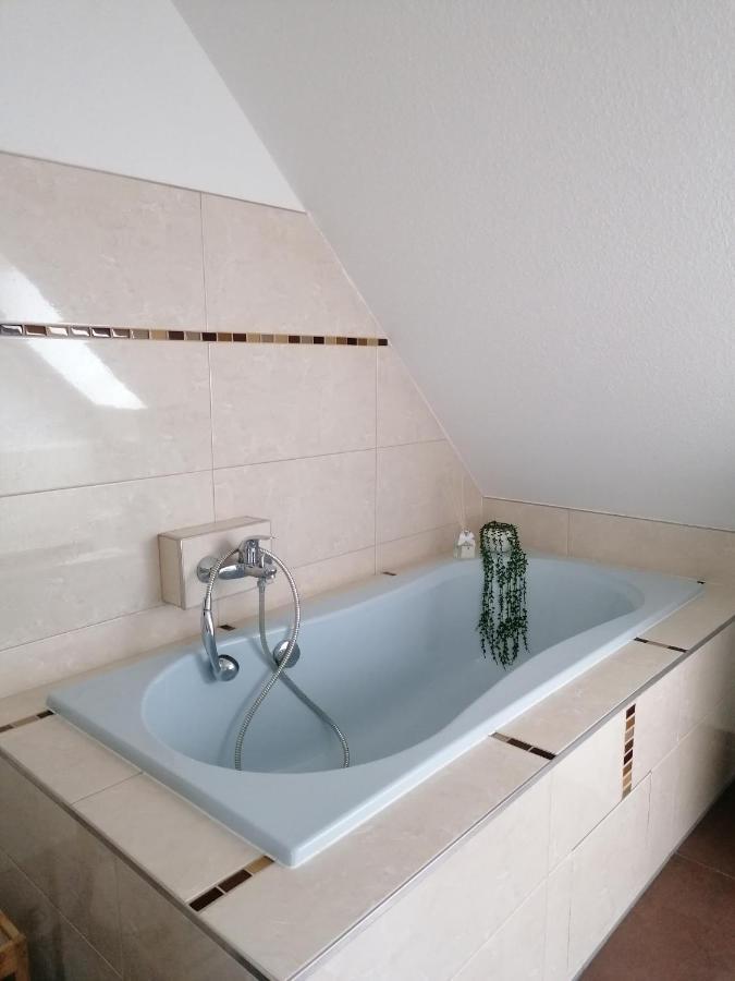 שטיינהודה Ferienwohnung Resit 2 מראה חיצוני תמונה